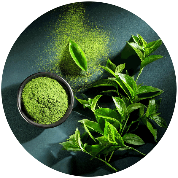 Green Tea